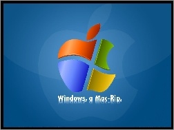windows, grafika, Apple, jabłko